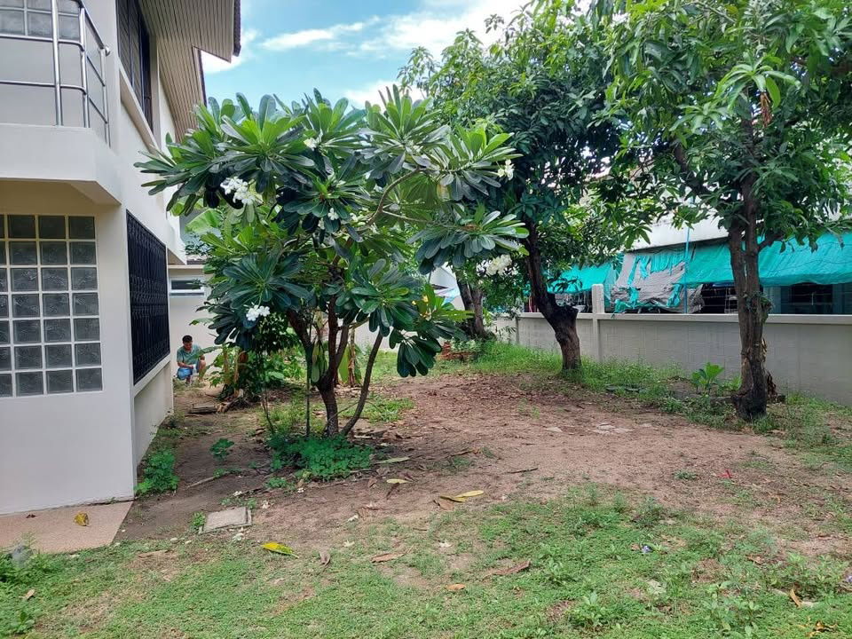 รูป [เช่า] บ้านเดี่ยว/โฮมออฟฟิศ โซนรามคำแหง – ขนาดใหญ่ 143 ตร.ว. จดทะเบียนบริษัทได้ - รูปที่ 5/20