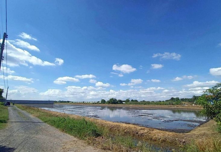 Sale of empty land, Lam Luk Ka, Khlong 6 (Bung Kham Phroi)