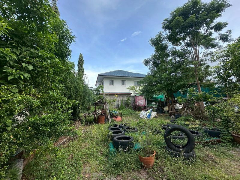 picture Land for sale in Bangsaen, near Wonnapa Beach, prime location in the heart of tourist attractions - 12/13