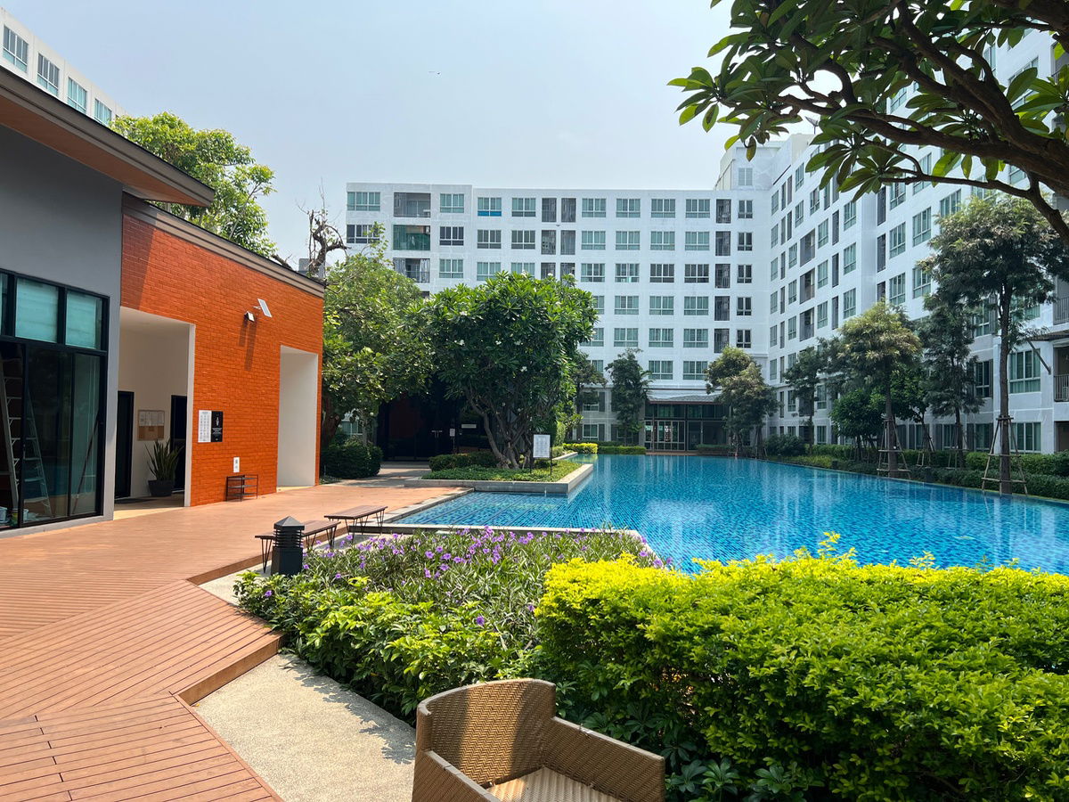 picture ✅sale dcondo nim, 2nd floor, pool view, 30 sq.m., Building B ☎️064-792-4426 (Ben) - 14/20