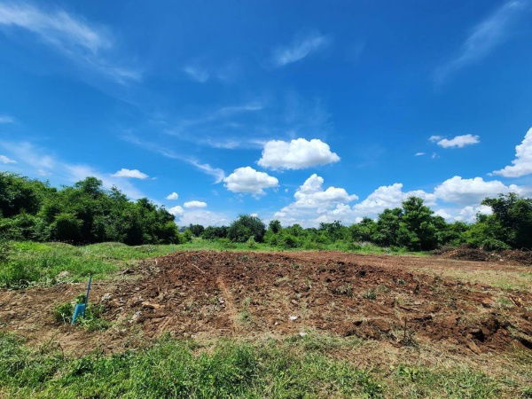 รูป ขายที่ดินเปล่า ราคาพิเศษ 470,000 บาท! - รูปที่ 2/2
