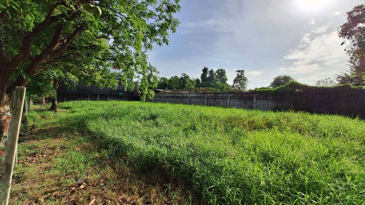 รูป ขายที่ดินในหมู่บ้านกฤษดานคร 21 บางนาตราด กม. 7 - รูปที่ 3/29