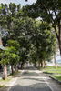 listing thumbnail image 6