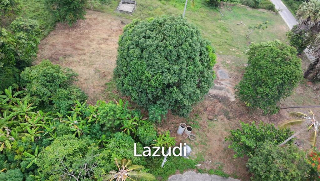 รูป 1 Rai Flat Land for Sale in Laem Sor - 300m to the beach! - รูปที่ 2/9