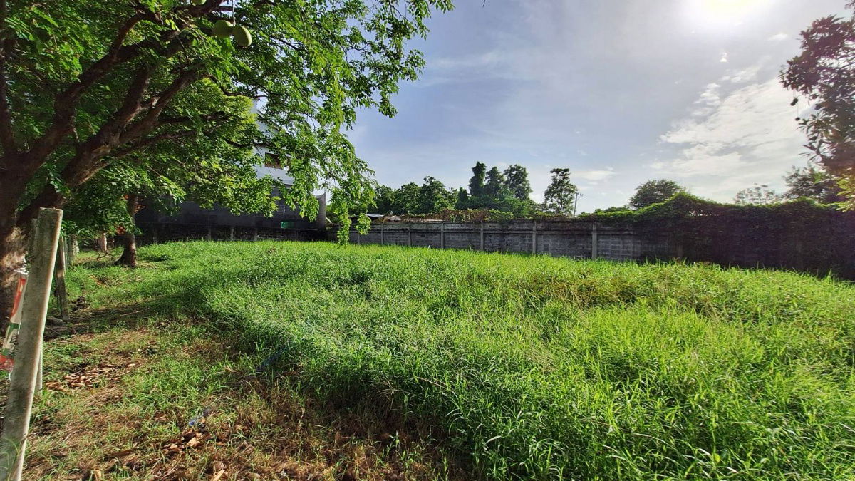 รูป ขายที่ดินในหมู่บ้านกฤษดานคร 21 บางนาตราด กม. 7 - รูปที่ 4/29