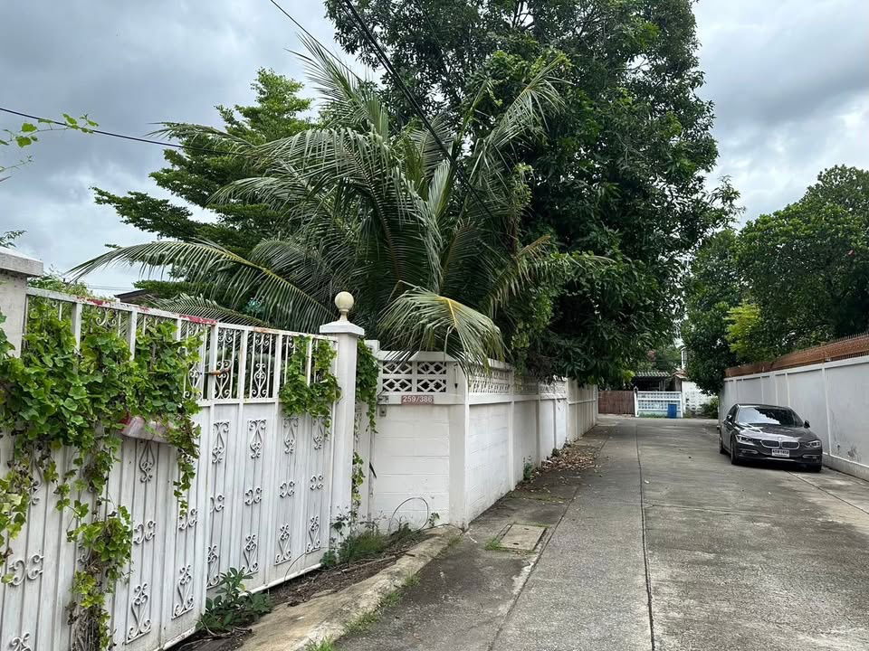 รูป ขายที่ดินเอกมัย สุขุมวิท 65 115 ตรว. - รูปที่ 7/8
