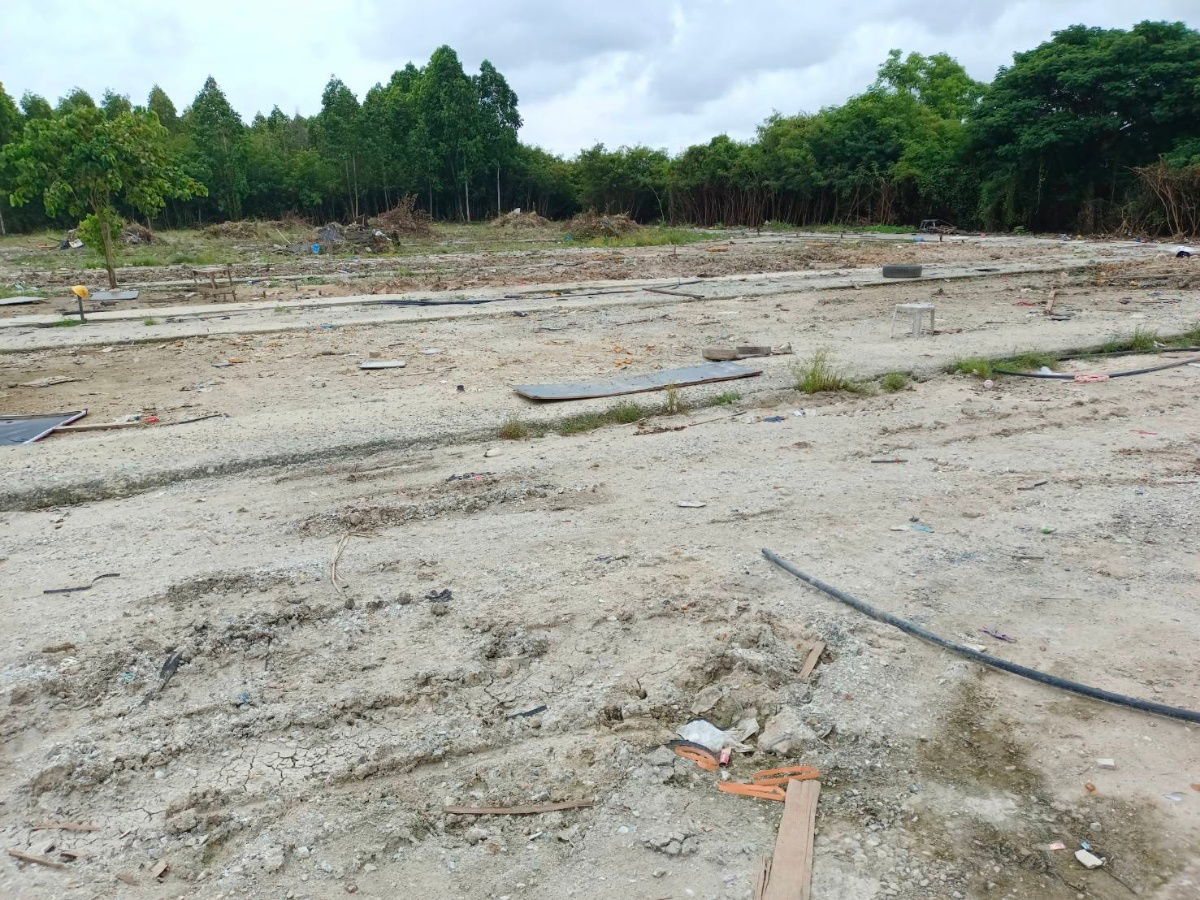 picture fitted land for any projects mainroad 18 meters on taparak road bangpra 65 - 6/7
