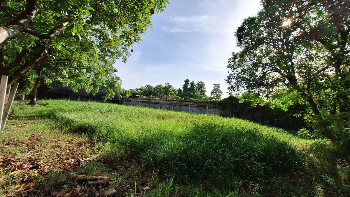 รูป ขายที่ดินในหมู่บ้านกฤษดานคร 21 บางนาตราด กม. 7 - รูปที่ 26/29