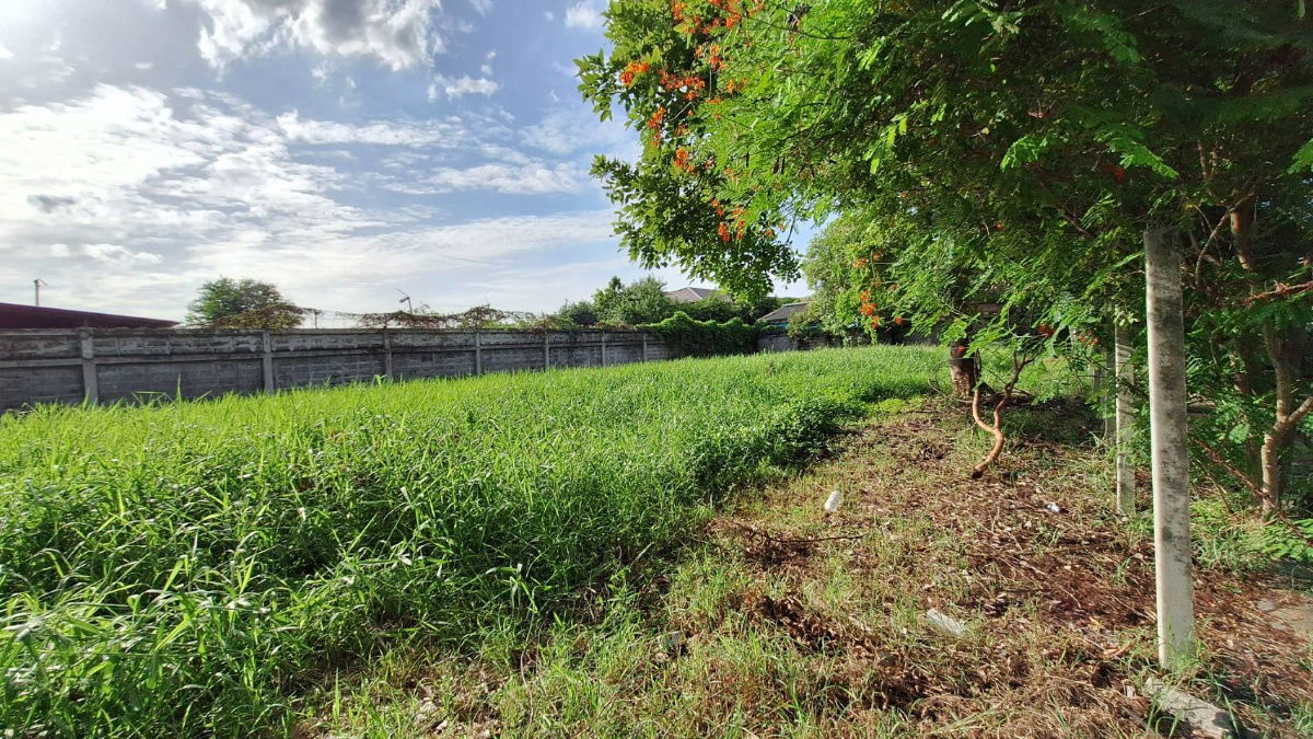 รูป ขายที่ดินในหมู่บ้านกฤษดานคร 21 บางนาตราด กม. 7 - รูปที่ 5/29