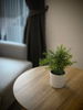 listing thumbnail image 6