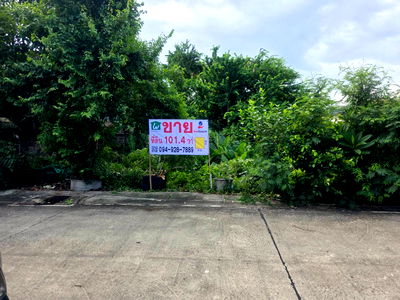 ที่ดิน วิทยาลัยเทคนิคราชสิทธาราม : ขายที่ดินเปล่ารูปสี่เหลี่ยม 101.4 ตรว.ซอยสะแกงาม 14 แยก 17 ราคาถูก