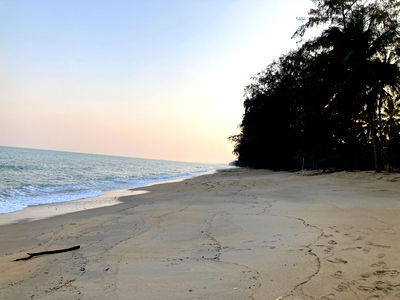 Land for sale Thap Sakae Prachaubkirikhan : Land for Sale Near the Beach with Coconut Plantation – Prachuap Khiri Khan Thap Sakae