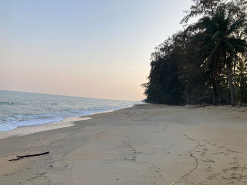 ที่ใกล้ทะเล พร้อมสวนมะพร้าว ประจวบ ทับสะแก 21 ไร่ ทางเข้าเป็นถนนสาธารณะ กว้าง 8 เมตร เหมาะทำบ้านพักตากอากาศ โรงงาน เดินทางสะดวกจากถนนเพชรเกษม