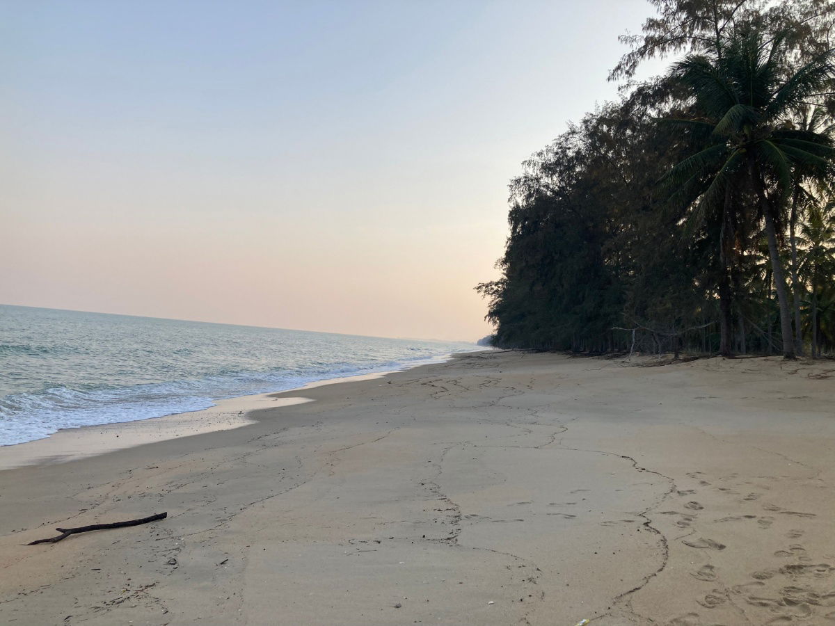 picture Land for Sale Near the Beach with Coconut Plantation – Prachuap Khiri Khan Thap Sakae - 1/3