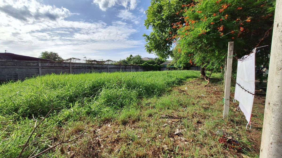 รูป ขายที่ดินในหมู่บ้านกฤษดานคร 21 บางนาตราด กม. 7 - รูปที่ 28/29