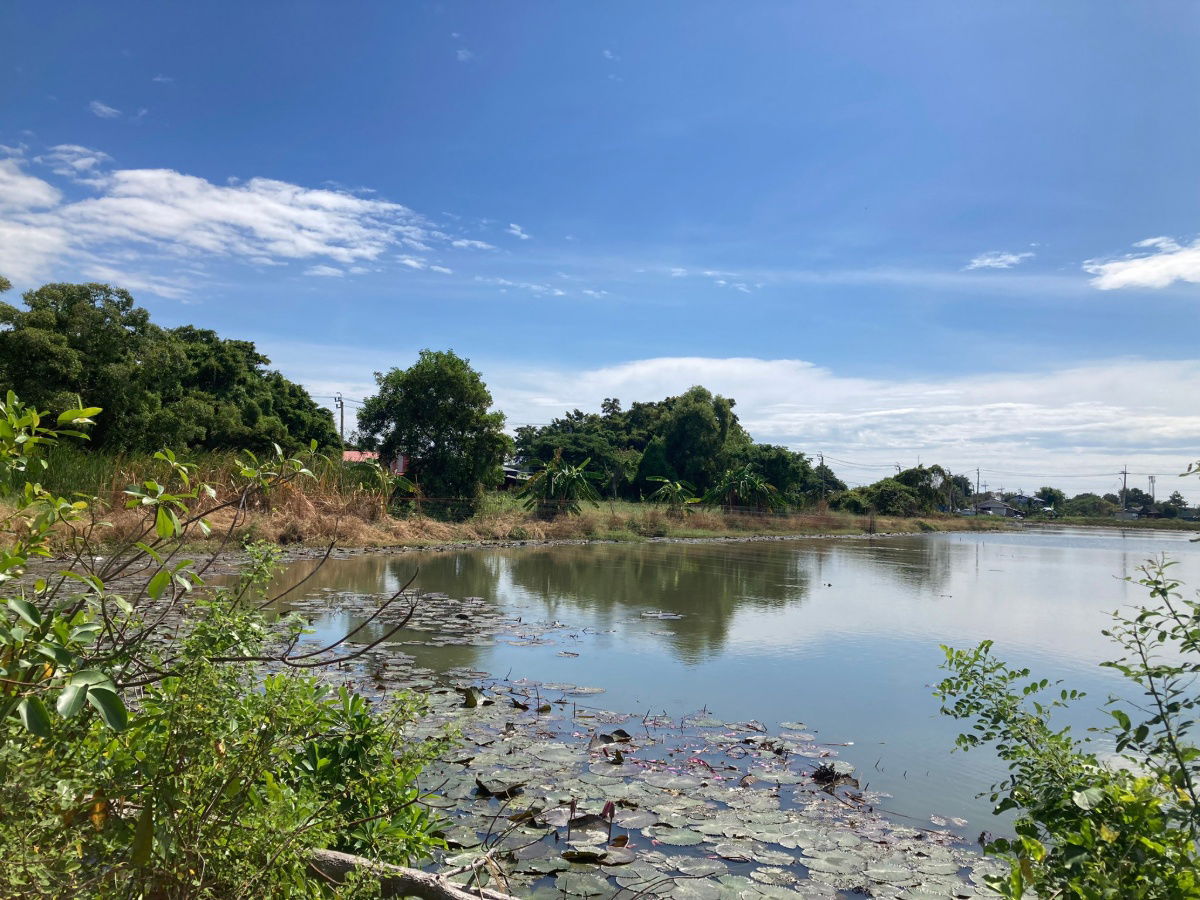 picture Land for Long-Term Lease near ABAC Bangna. Preng Subdistrict, Bang Bo District, Samut Prakan 20 rai - 14/14