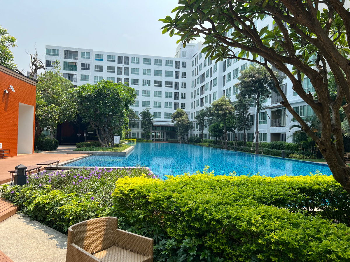 picture ✅sale dcondo nim, 2nd floor, pool view, 30 sq.m., Building B ☎️064-792-4426 (Ben) - 13/20