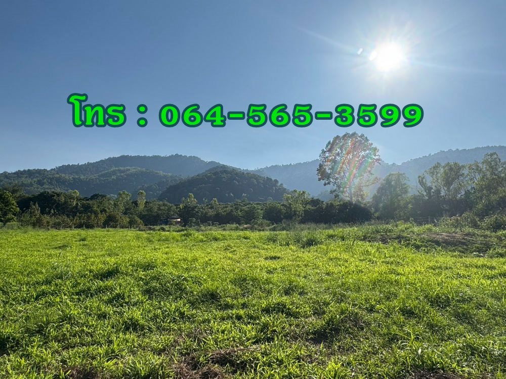 รูป Call : 064-565-3599 ขายที่ดินใกล้เขาใหญ่ 432 ตารางวา ฟินกับธรรมชาติ ใกล้ภูเขา ลำธาร ใกล้ถนนธนะรัชต์ ตำบลหมูสี ปากช่อง 3 นาที ถึงหน้าด่านทางขึ้นเขาใหญ่ - รูปที่ 1/6