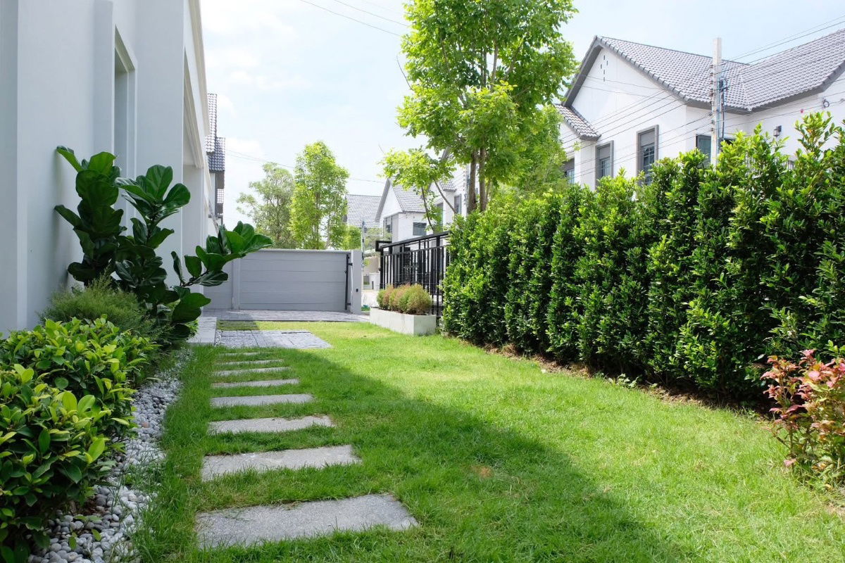 รูป ขายบ้านเดี่ยวสภาพสวยมาก 58 ตรว. 230 ตรม. Centro บางนา กม.7 อ.บางพลี สมุทรปราการ - รูปที่ 7/8