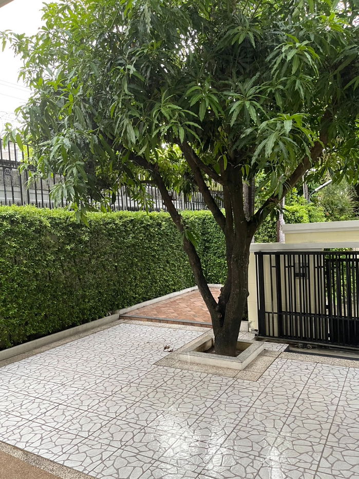 picture For Rent: 2-Storey Detached House at Nantawan Rama 9 – Onnut, 82 sq.wah. Beautiful, clean, green, and comfortable living environment - 5/19