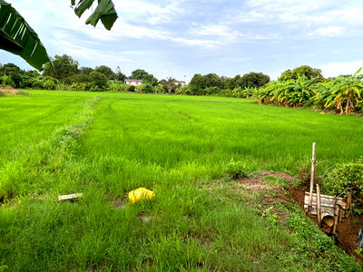 Land for sale Phanom Sarakham Chachoengsao : Land for Sale: 1 Rai 3 Ngan (2,800 sq.m.) Located in Mueang Kao Subdistrict, Phanom Sarakham, Chachoengsao.  Only 1.7 km from Highway 304 
