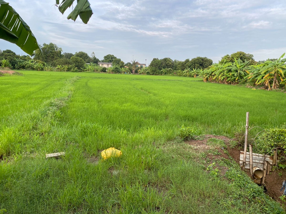 picture Land for Sale: 1 Rai 3 Ngan (2,800 sq.m.) Located in Mueang Kao Subdistrict, Phanom Sarakham, Chachoengsao.  Only 1.7 km from Highway 304  - 1/7