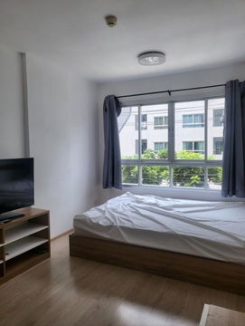 ให้เช่า 𝗘𝗹𝗶𝗼 𝗦𝘂𝗸𝗵𝘂𝗺𝘃𝗶𝘁 𝟲𝟰 🏡 𝟵,𝟱𝟬𝟬‼️#ตอบแชทไว 🔥🔥 รหัส M1305