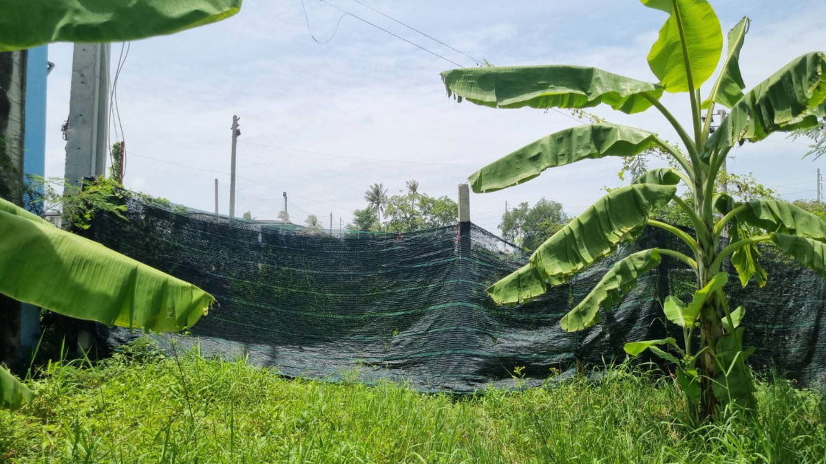 picture Land for Sale in Thakham, Soi Rang Pho Lang, 378 sq.w. - Excellent Location Near Suankularb Thonburi School - 1/4