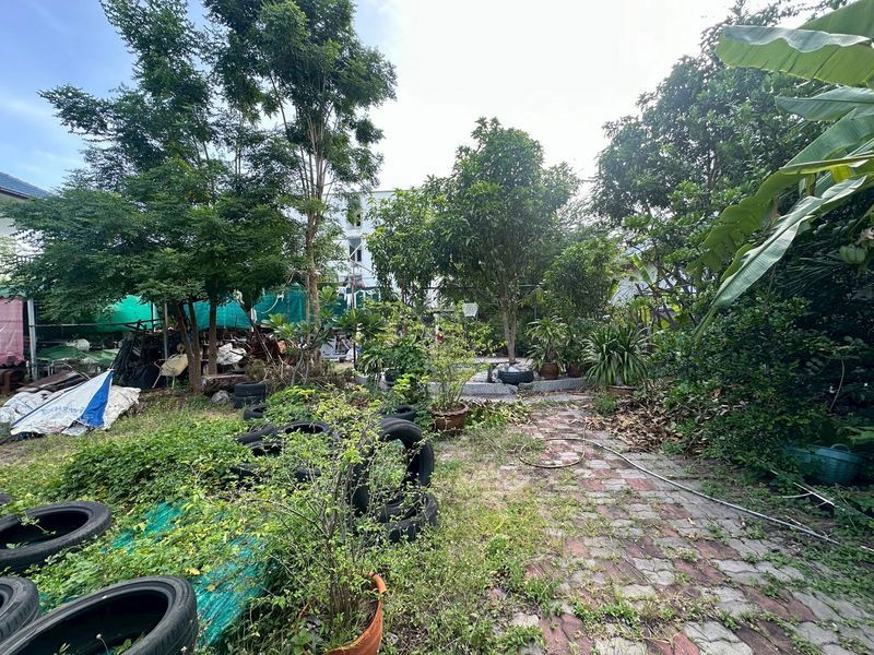 picture Land for sale in Bangsaen, near Wonnapa Beach, prime location in the heart of tourist attractions - 9/13