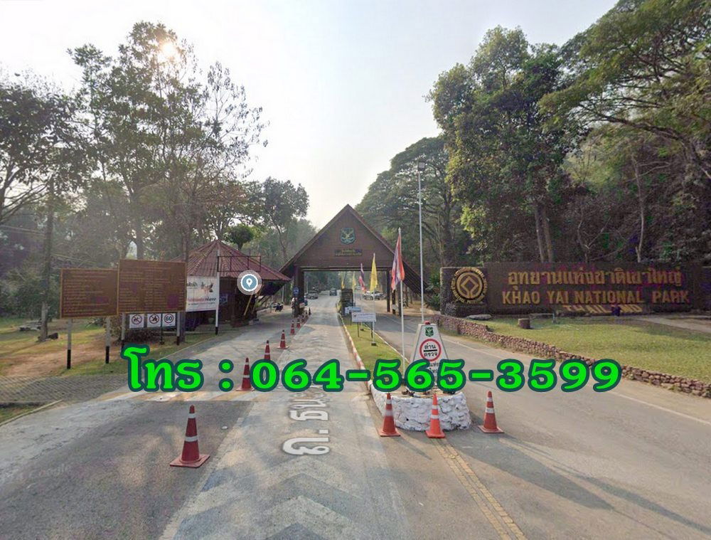 รูป Call : 064-565-3599 ขายที่ดินใกล้เขาใหญ่ 432 ตารางวา ฟินกับธรรมชาติ ใกล้ภูเขา ลำธาร ใกล้ถนนธนะรัชต์ ตำบลหมูสี ปากช่อง 3 นาที ถึงหน้าด่านทางขึ้นเขาใหญ่ - รูปที่ 5/6