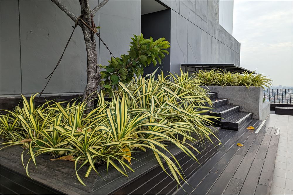 รูป [920021007-287] pela condo wutthakat - รูปที่ 9/17