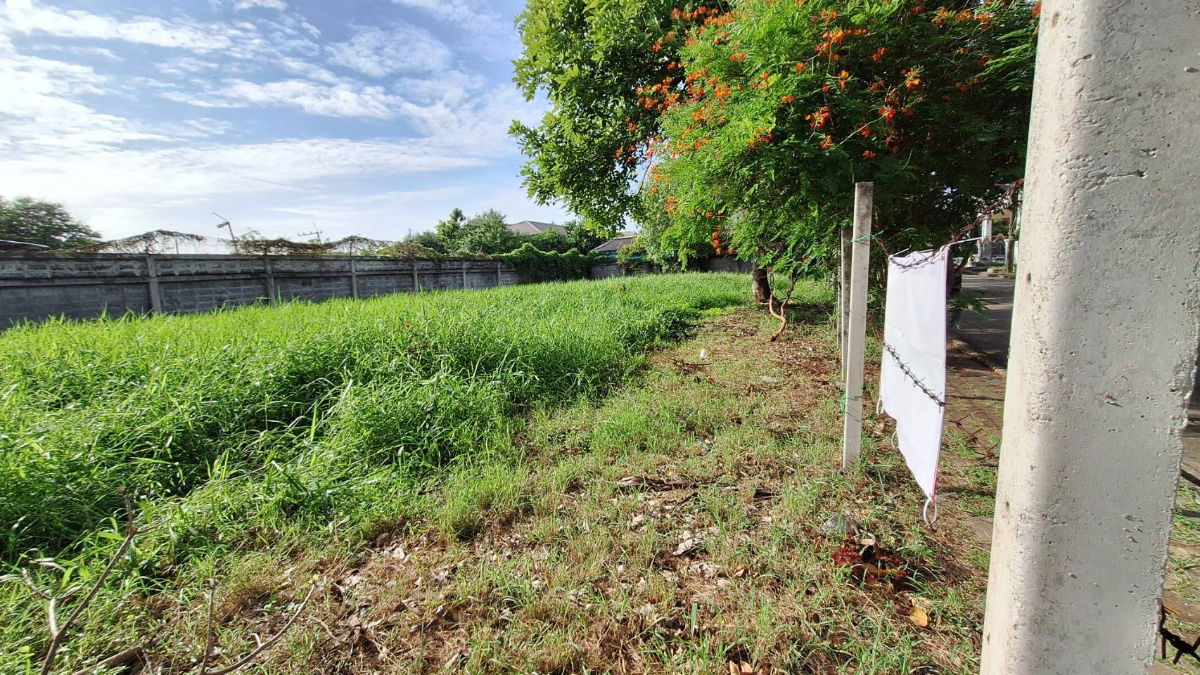 รูป ขายที่ดินในหมู่บ้านกฤษดานคร 21 บางนาตราด กม. 7 - รูปที่ 16/29