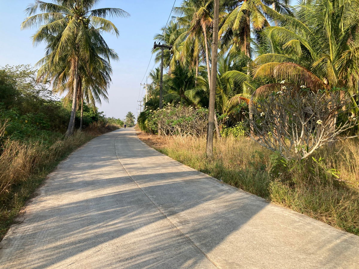 picture Land for Sale Near the Beach with Coconut Plantation – Prachuap Khiri Khan Thap Sakae - 2/3