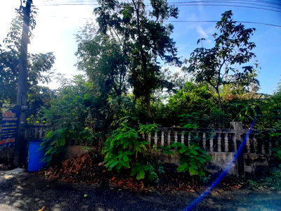 ที่ดิน คลองหลวง ปทุมธานี : 🌄ขายที่ดิน คลอง3 เลียบคลองสาม (S-LA009)