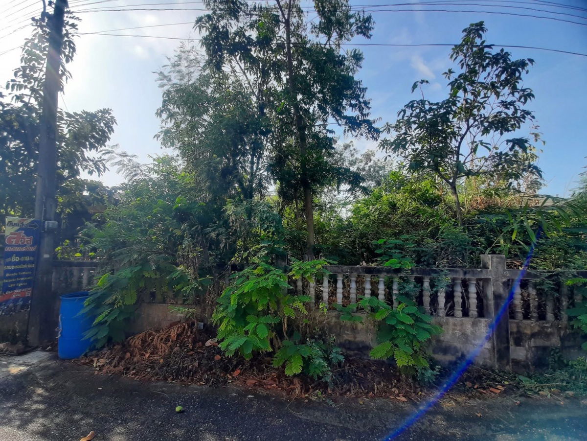 รูป 🌄ขายที่ดิน คลอง3 เลียบคลองสาม (S-LA009) - รูปที่ 1/4