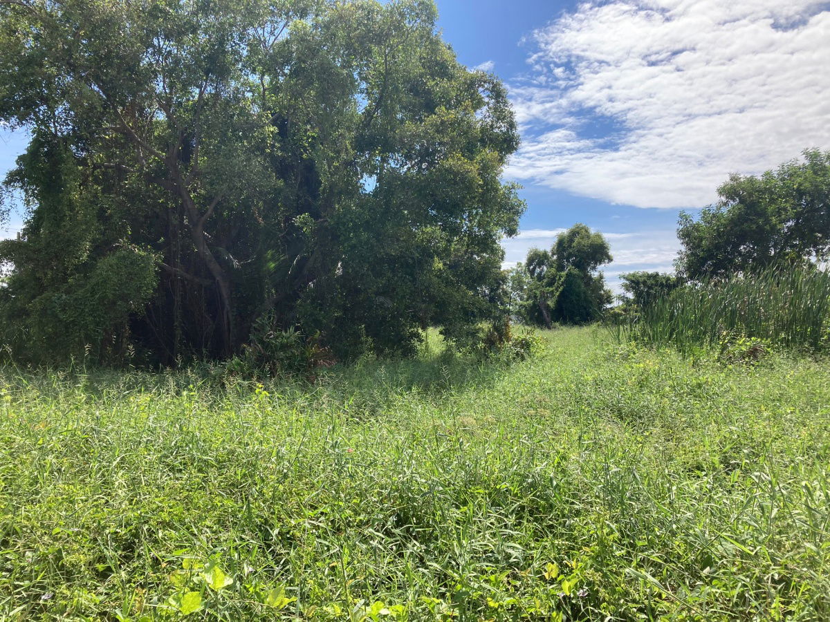 picture Land for Long-Term Lease near ABAC Bangna. Preng Subdistrict, Bang Bo District, Samut Prakan 20 rai - 6/14