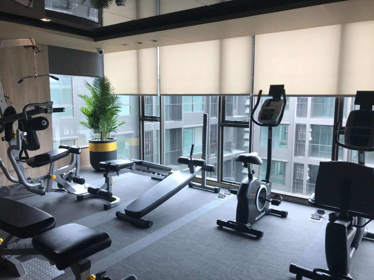 picture [Owner Post] The Tree Sukhumvit 64 for rent, 1bedroom, Available Nov 2025 - 10/10