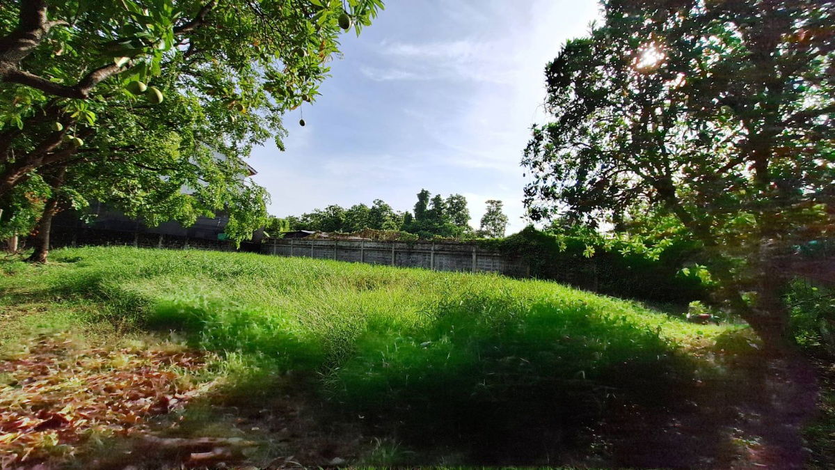 รูป ขายที่ดินในหมู่บ้านกฤษดานคร 21 บางนาตราด กม. 7 - รูปที่ 23/29