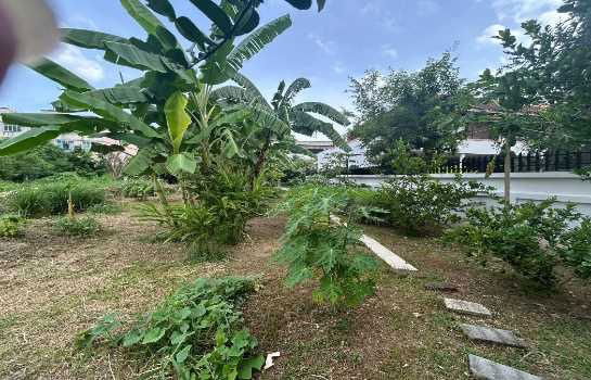 รูป ขาย ที่ดินเปล่า ในหมู่บ้านร่มรื่น ราชพฤกษ์​ ขนาด 1 ไร่ 1 งาน 3 ตร.วา ราคา 32,695,000 บาท - รูปที่ 6/12