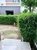 listing thumbnail image 14