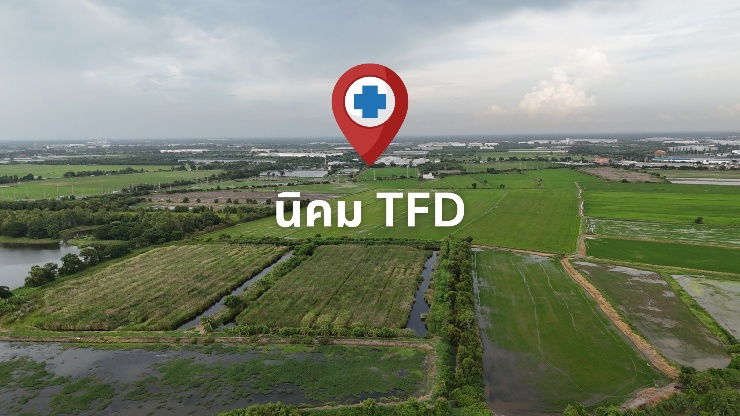 รูป ขายที่ดินหนองจอก บางปะกง ติดนิคมTFD - รูปที่ 2/4