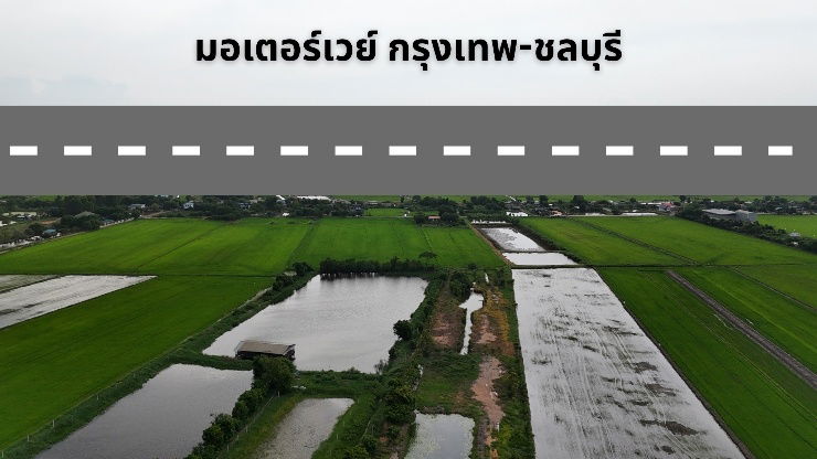 รูป ขายที่ดินหนองจอก บางปะกง ติดนิคมTFD - รูปที่ 4/4