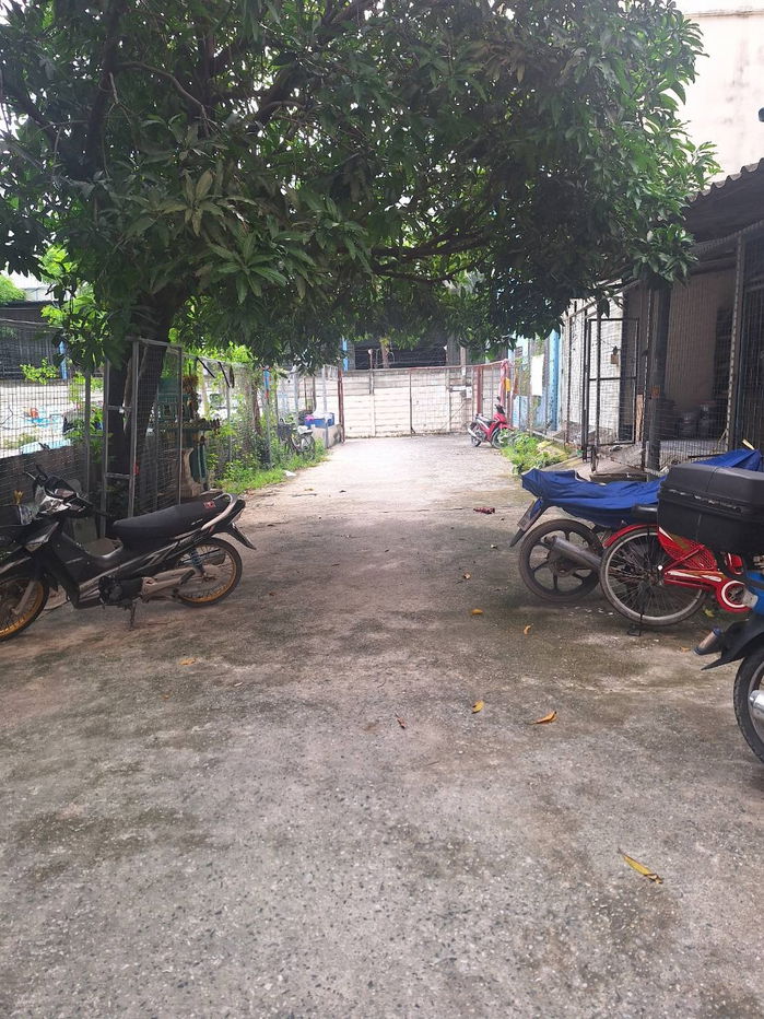 รูป ขายอาคารพาณิชย์ 3 ชั้นพร้อมที่ดินด้านหลัง - รูปที่ 5/5