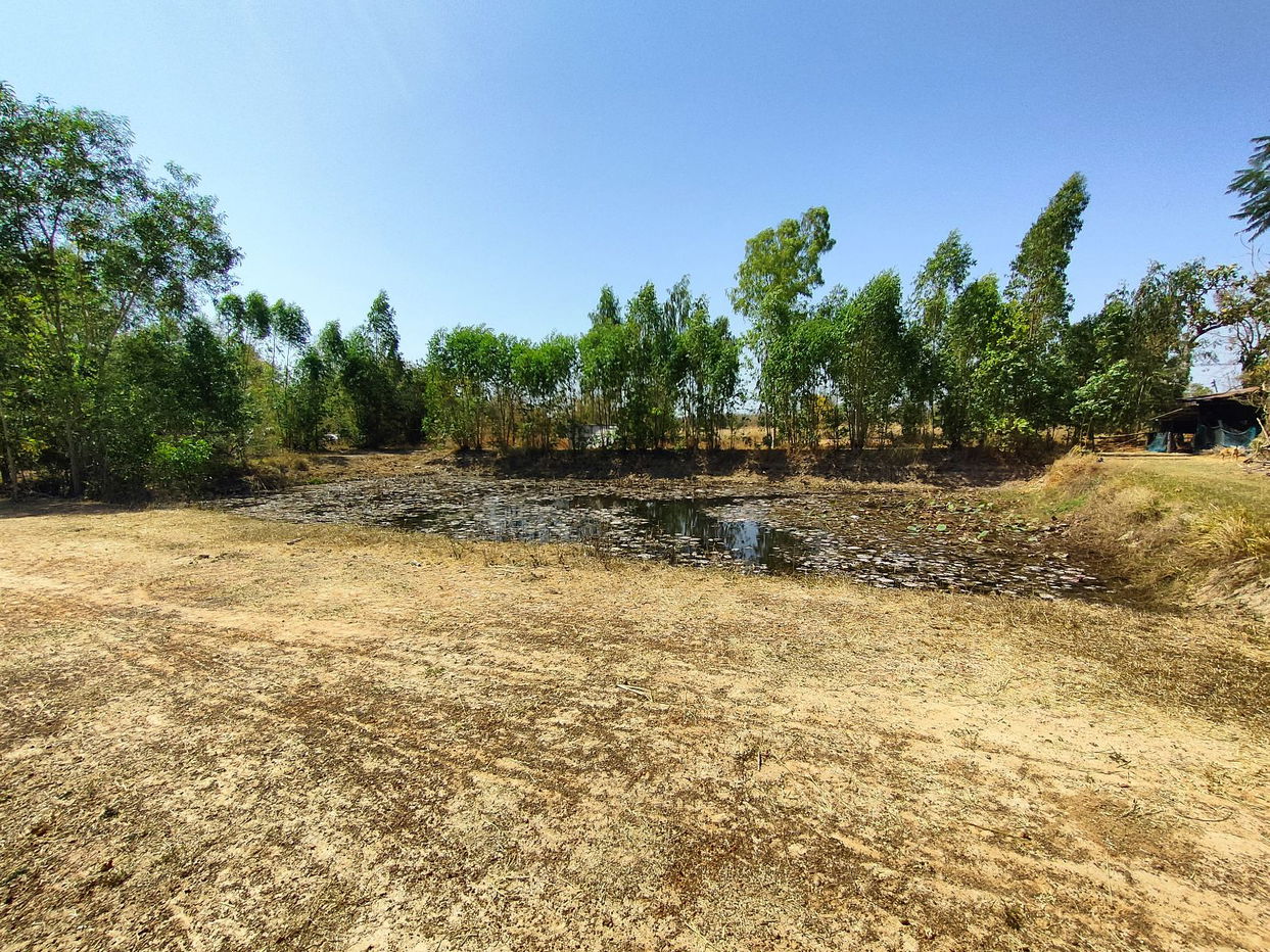 picture ที่ดินเปล่า 8212 square meter Sakon Nakhon Sawang Daen Din Sawang Daen Din for 848000 THB - 5/9