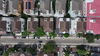 listing thumbnail image 16