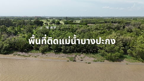ขายที่ดินติดริมแม่น้ำบางปะกง พื้นที่ EEC