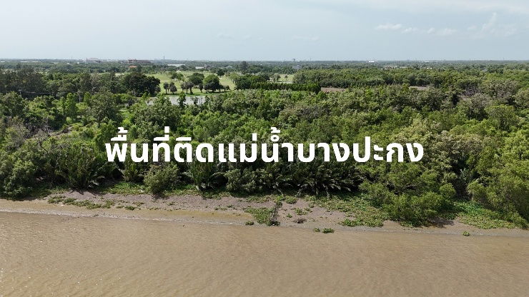 รูป ขายที่ดินติดริมแม่น้ำบางปะกง พื้นที่ EEC - รูปที่ 1/6