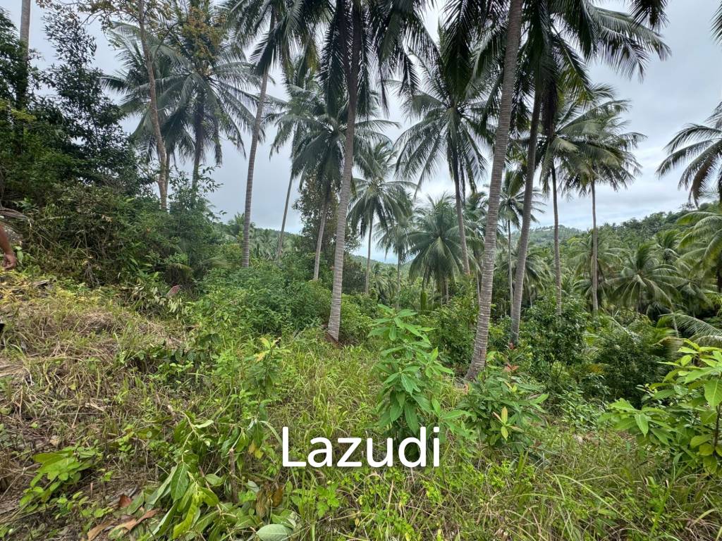 picture Land for Sale 11 Rai - 4/8