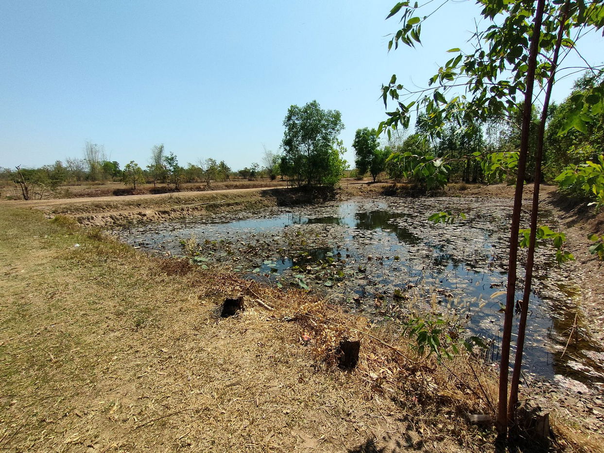 picture ที่ดินเปล่า 8212 square meter Sakon Nakhon Sawang Daen Din Sawang Daen Din for 848000 THB - 7/9