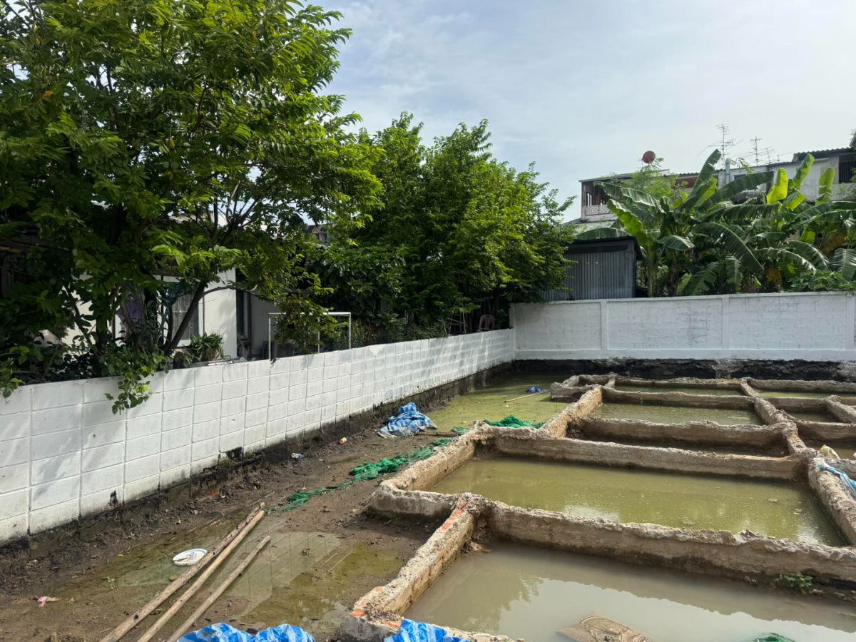 รูป 🔥 ขาย ที่ดิน ซอยนวมินทร์ 26  💰 ราคา 2,990,000 ล้าน ฟรีโอน (หน้าที่ดินหันทิศเหนือ)  - รูปที่ 7/10